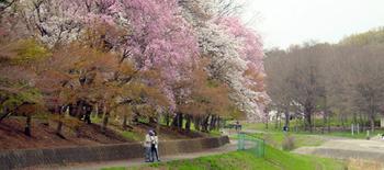 都立武蔵野公園の写真1