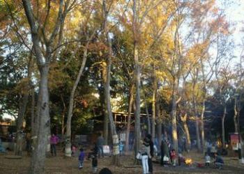 世田谷プレーパークの写真1