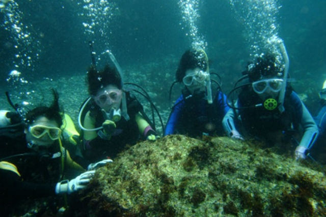 ダイブハウスタックの写真1