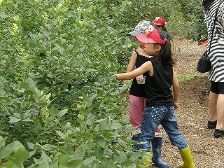 悴田梨園の写真1