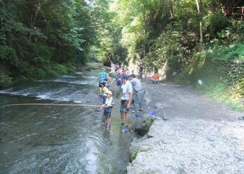 大丹波川国際虹ます釣り場の写真1