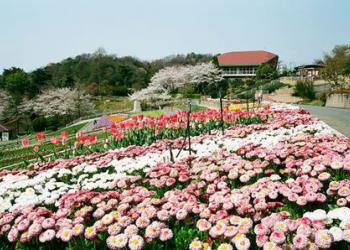 和歌山県植物公園緑花センターの写真1