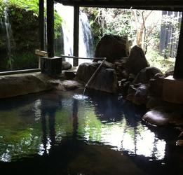 田の原温泉　大朗館の写真1