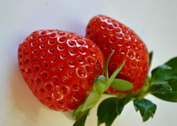 JA鳥羽志摩 長沢育種苗施設の写真1