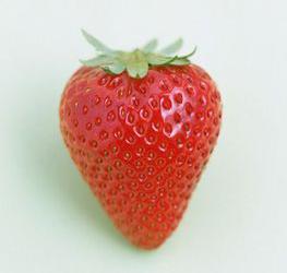 いちごの丘の写真1