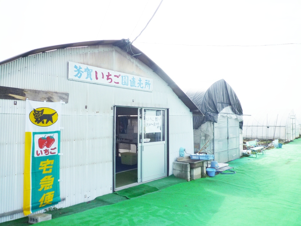 芳賀いちご園の写真1