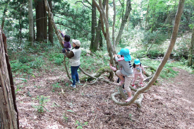 新庄村森林セラピー協議会の写真1