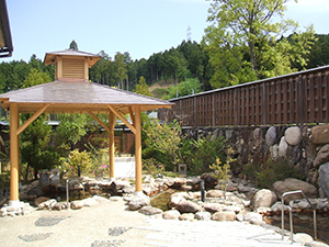 伊賀の国大山田温泉 さるびのの写真1