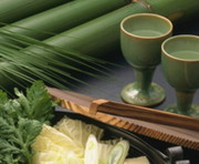 はやぶさ温泉の写真1