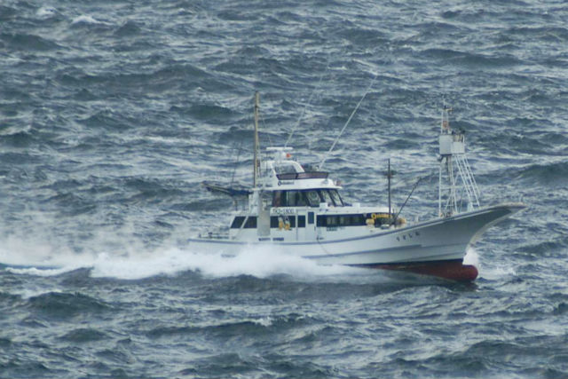 おしどりダイビングサービスの写真1