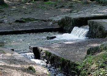 三分一湧水館の写真1