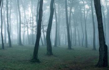 彫刻の小路の写真1