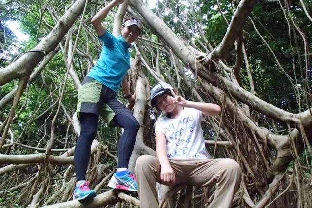 マルベリーの写真1