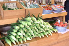 FUJIYAMA　BAZAAR　森の駅の写真1