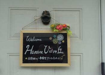 Hanareひばりヶ丘の写真1