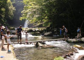 浄蓮の滝 天城国際鱒釣場の写真1