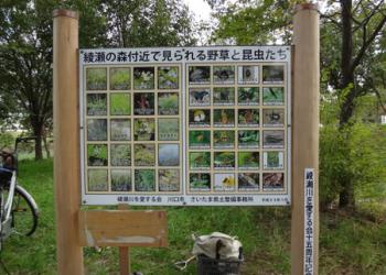 綾瀬の森の写真1