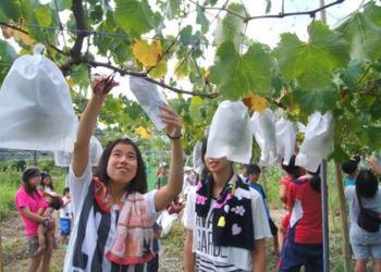 タカジンランド久美浜オートキャンプ場の写真1