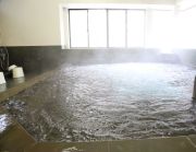 竜島温泉 せせらぎの湯の写真1