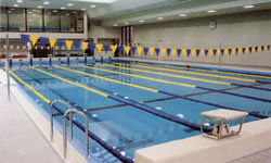 広島県立びんご運動公園の写真1