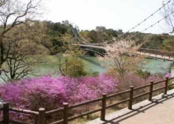 江汐公園の写真1