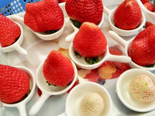 こばやし農園の写真1