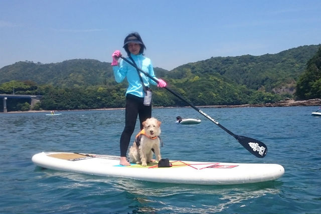 オランクダイバーズの写真1