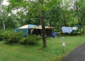 道の駅　しんごうの写真1