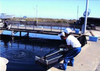 九十九里海釣りセンターの写真1