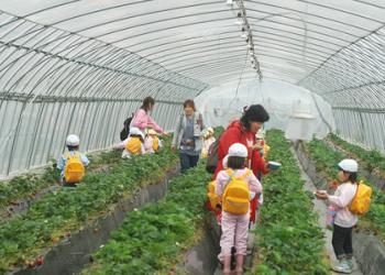 出会いの森いちご園の写真1