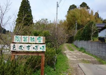 陶芸教室　えむず　ぱぱの写真1