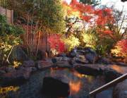 元湯 陣屋の写真1