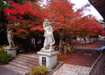 呑山観音寺の写真1