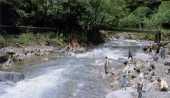 日原渓流釣場の写真1