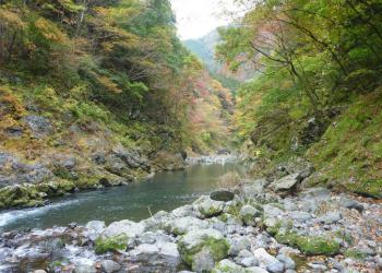 境渓谷キャンプ場・釣堀場の写真1