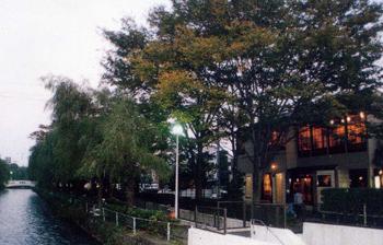 広瀬川美術館の写真1