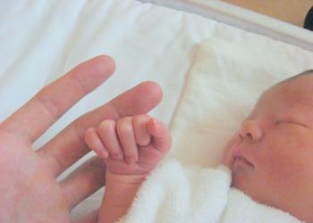 にこdeいちの写真1