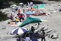 十里木ランドの写真1