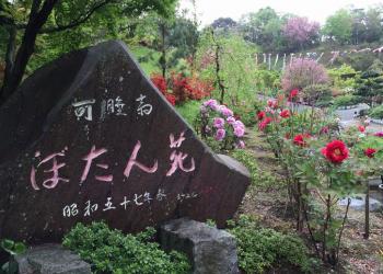 可睡斎ぼたん苑の写真1