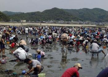 西幡豆・鳥羽海岸 潮干狩り場の写真1