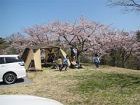 早掛レイクサイドヒルキャンプ場