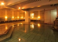 修善寺温泉ホテル滝亭