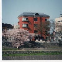 プチホテル アイビー