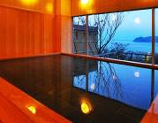 ロイヤルウイング