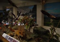 朱円堅穴住居跡群