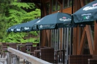 森のホテル もりのす