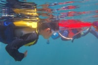 八丈島自然ガイドサービス 椎