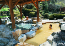 巌立峡ひめしゃがの湯