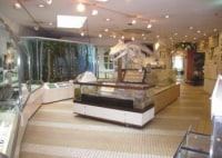 貝塚市立自然遊学館