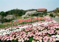 和歌山県植物公園緑花センター